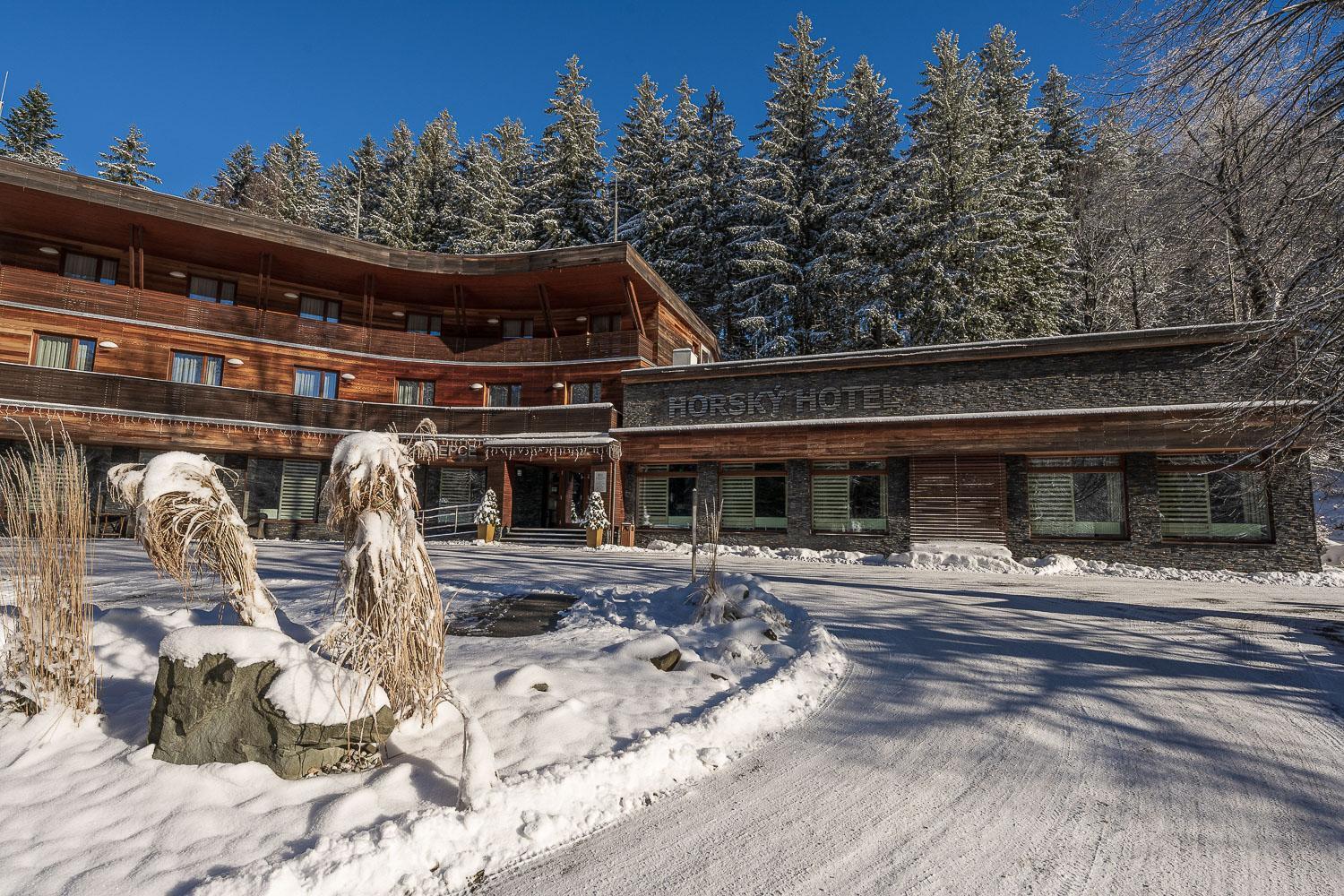 Horský hotel Lorkova vila Čeladná Exteriér fotografie